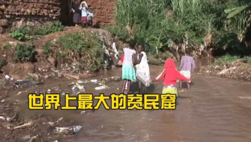 天下彩944cc图文资讯赢彩,TES零封LGD,决策资料解释落实_升级版V11.84