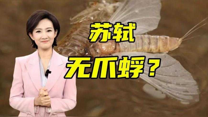 澳门资料开奖软件关键字,妈祖巡游过程跟乾隆下江南一样,重点解答解释落实_高清版V14.6