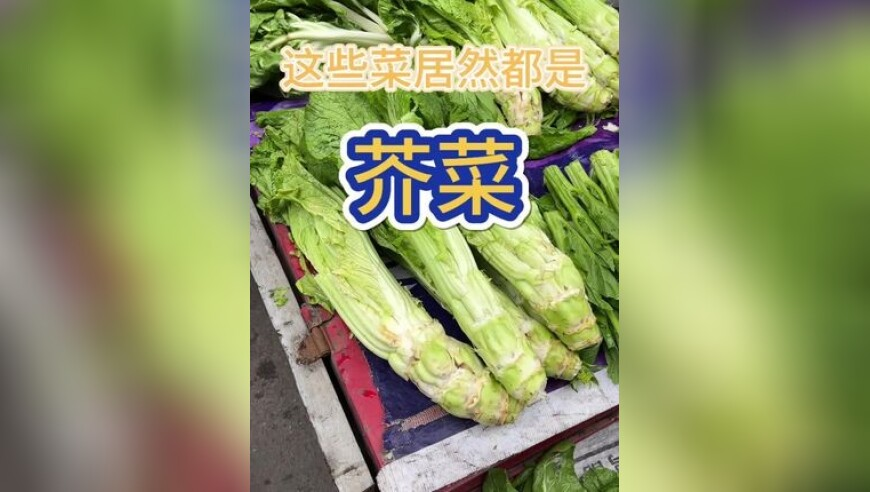 澳门六开奖最新开奖结果资料查询,埃安高管:上亿宣传费不如夹周鸿,最佳精选解释落实_影像版V1.75