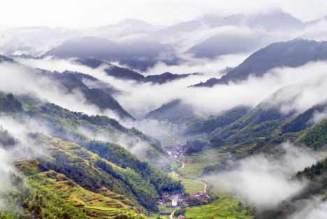 街头奇景：男子以电锤治病